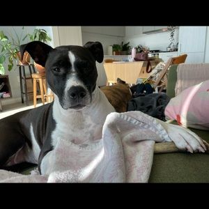 Meet your Posher, Brandy